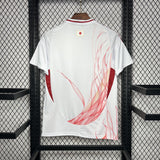 Japan Away 2024